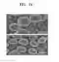 Fig. 24 - POSITIVE ELECTRODE ACTIVE MATERIAL AND SECONDARY BATTERY COMPRISING THE SAME