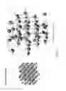Fig. 16 - Doped conversion materials for secondary battery cathodes