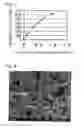 Fig. 05 - Catalyst for fuel cells and method for producing the same