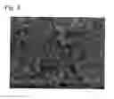 Fig. 06 - Catalyst for fuel cells and method for producing the same