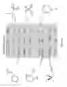 Fig. 09 - Metal-air cell with performance enhancing additive
