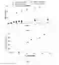 Fig. 02 - Interpenetrating network of anion-exchange polymers, production method thereof and use of same