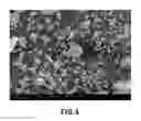 Fig. 06 - Garnet powder, manufacturing method thereof, solid electrolyte sheet using hot press and manufacturing method thereof