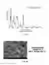 Fig. 10 - Garnet powder, manufacturing method thereof, solid electrolyte sheet using hot press and manufacturing method thereof