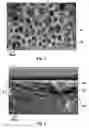 Fig. 03 - Rechargeable electrochemical battery cell