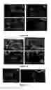 Fig. 03 - HIGH-IONIC CONDUCTIVITY ELECTROLYTE COMPOSITIONS COMPRISING SEMI-INTERPENETRATING POLYMER NETWORKS AND THEIR COMPOSITES