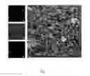 Fig. 02 - Method for removing copper and aluminum from an electrode material, and process for recycling electrode material from waste lithium-ion batteries