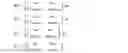 Fig. 68 - Precoding matrix indicator feedback method, receive end, and transmit end