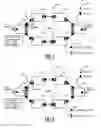 Fig. 06 - Systems and methods for setting up end-to-end traffic engineered ethernet line services