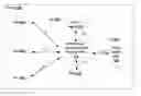 Fig. 01 - SEAMLESS AUTHENTICATION ACROSS MULTIPLE ENTITIES