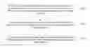 Fig. 01 - METHODS AND DEVICES FOR PLAYING STREAMING MEDIA DATA