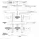 Fig. 03 - Sorting information by relevance to individuals with passive data collection and real-time injection