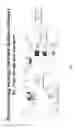 Fig. 19 - Enveloping for device independence
