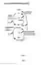 Fig. 06 - Real-time voice paging voice augmented caller ID/ring tone alias