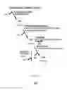 Fig. 07 - Real-time voice paging voice augmented caller ID/ring tone alias