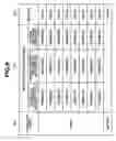 Fig. 10 - Image processing apparatus and information processing method