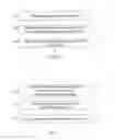 Fig. 06 - Panoramic video