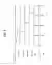 Fig. 10 - ACTIVE PIXEL SENSORS AND IMAGE DEVICES HAVING STACKED PIXEL STRUCTURE SUPPORTING GLOBAL SHUTTER