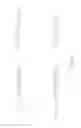 Fig. 06 - Multiple gated pixel per readout