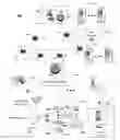 Fig. 01 - Method and apparatus for managing multiple media services