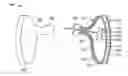 Fig. 01 - Thermal powered wearable device