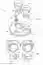 Fig. 13 - Earphone Assembly Organizer Apparatus and Method