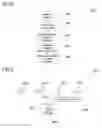 Fig. 04 - Communication terminal device and method for controlling