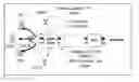 Fig. 01 - Reduction of user plane congestion