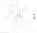 Fig. 03 - Data transfer between wireless devices