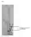 Fig. 02 - MICROPROPAGATION AND PLANT REGENERATION SYSTEMS FOR ARUNDO DONAX AND OTHER MONOCOTS