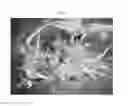 Fig. 04 - MICROPROPAGATION AND PLANT REGENERATION SYSTEMS FOR ARUNDO DONAX AND OTHER MONOCOTS