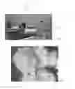 Fig. 06 - MICROPROPAGATION AND PLANT REGENERATION SYSTEMS FOR ARUNDO DONAX AND OTHER MONOCOTS