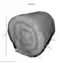 Fig. 02 - Texas Haynet