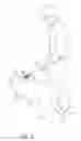 Fig. 02 - Charging a Device Supported by an Animal