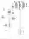 Fig. 06 - Methods and apparatus for selectively processing eggs having identified characteristics