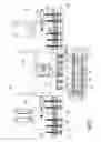 Fig. 13 - Methods and apparatus for selectively processing eggs having identified characteristics