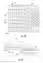 Fig. 46 - Methods and apparatus for selectively processing eggs having identified characteristics