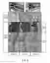 Fig. 08 - Maternally induced sterility in animals
