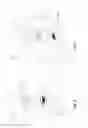 Fig. 05 - Radiating systems for affecting insect behavior