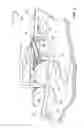 Fig. 13 - Method and apparatus for the management of a soil pest