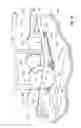 Fig. 15 - Method and apparatus for the management of a soil pest
