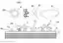 Fig. 01 - Bio control activity surface