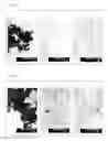 Fig. 06 - METHOD FOR CONTROLLING PARTICLE SIZE OF SILVER PARTICLES, SILVER PARTICLES, ANTIMICROBIAL AGENT CONTAINING SLIVER PARTICLES, AND USE THEREOF