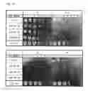 Fig. 09 - METHOD FOR CONTROLLING PARTICLE SIZE OF SILVER PARTICLES, SILVER PARTICLES, ANTIMICROBIAL AGENT CONTAINING SLIVER PARTICLES, AND USE THEREOF