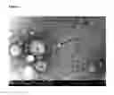 Fig. 07 - CREAMER COMPOSITION COMPRISING PLANT PROTEIN MICROPARTICLES