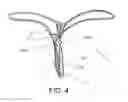 Fig. 05 - Minimal-coverage undergarments
