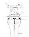 Fig. 01 - Molding Jeans