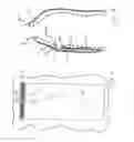 Fig. 03 - MEDICAL GARMENT