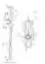 Fig. 05 - MEDICAL GARMENT