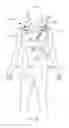 Fig. 10 - MEDICAL GARMENT
